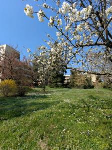 Annonce Vente 4 pi�ces Appartement Tassin-la-demi-lune 69