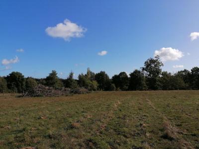 Acheter Terrain Ploermel Morbihan