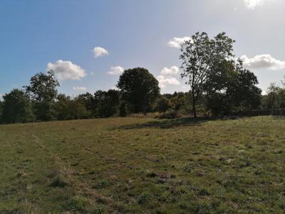Acheter Terrain Ploermel 66000 euros