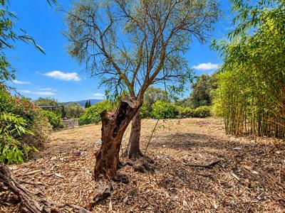 For sale Speracedes 850 m2 Alpes Maritimes (06530) photo 3