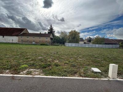 Acheter Terrain Warmeriville Marne