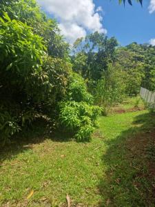 Acheter Terrain 448 m2 Riviere-pilote