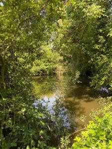 For sale Montgobert 12000 m2 Aisne (02600) photo 4