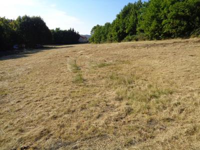 Acheter Terrain 710 m2 Saint-germain-laprade