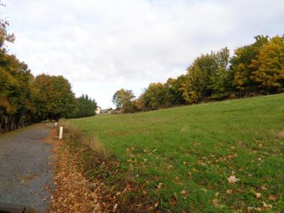 Annonce Vente Terrain Saint-germain-laprade 43