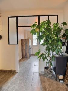 Acheter Appartement 71 m2 Havre