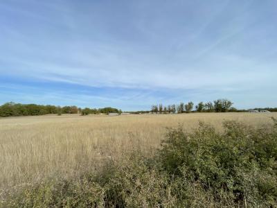 Annonce Vente Terrain Nespouls 19
