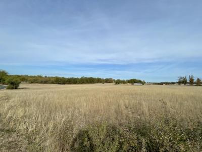Acheter Terrain 24142 m2 Nespouls