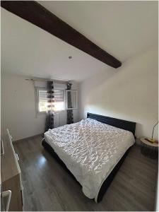Annonce Location 2 pi�ces Appartement Leguevin 31