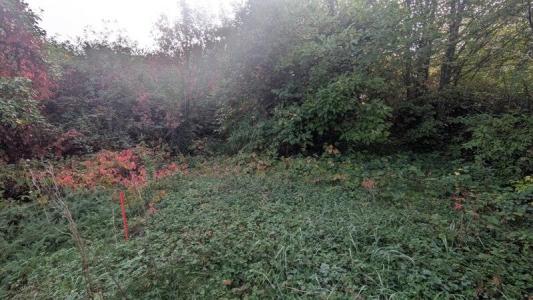 Annonce Vente Terrain Pressins 38