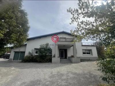 Acheter Prestige Saint-gaudens Haute garonne