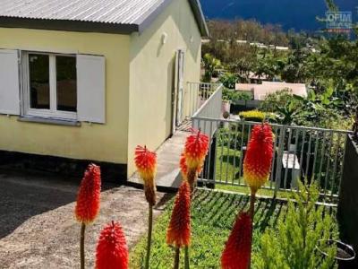 Annonce Location 3 pi�ces Maison Plaine-des-palmistes 974