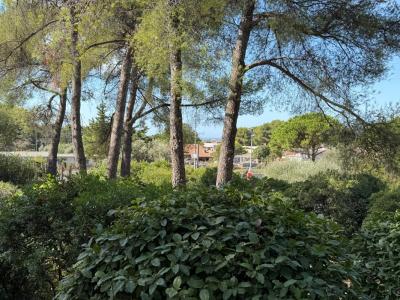 Annonce Vente Terrain Ollioules 83