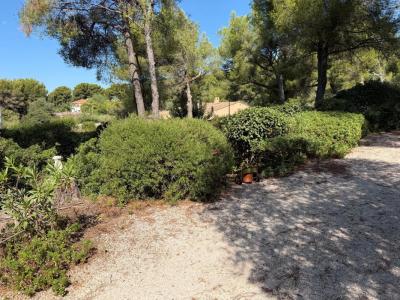 Acheter Terrain 800 m2 Ollioules