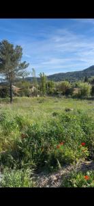 For sale Beausset 800 m2 Var (83330) photo 0