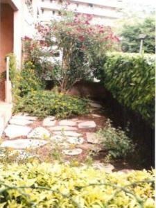 Annonce Location 3 pi�ces Appartement Bastia 20