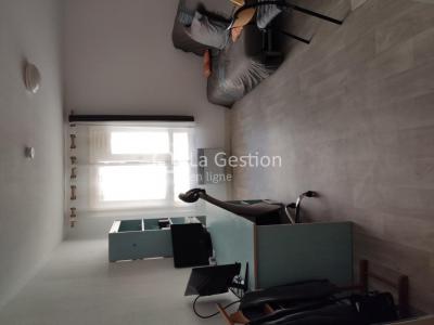 Louer Appartement Montpellier 500 euros
