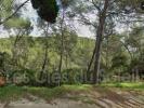 Vente Terrain Bandol  23716 m2