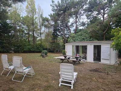Annonce Vente Terrain Plouhinec 56