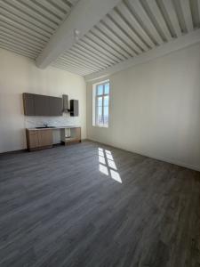 Louer Appartement Lyon-1er-arrondissement Rhone