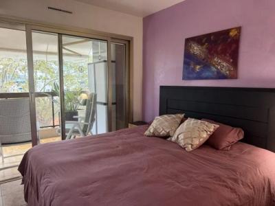 For rent Cannet 2 rooms 43 m2 Alpes Maritimes (06110) photo 4