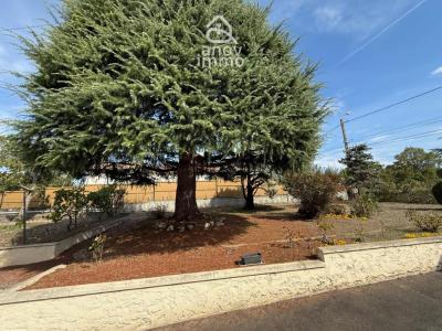 Annonce Vente 6 pi�ces Maison Linars 16