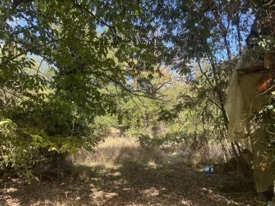 For sale Ariege (09330) photo 3