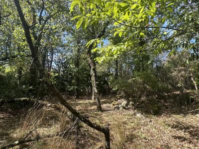 For sale Ariege (09330) photo 4