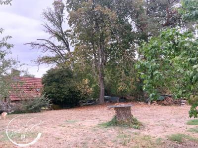 Acheter Maison Chateaumeillant 66000 euros