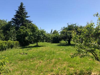 For sale Beton-bazoches 1220 m2 Seine et marne (77320) photo 2