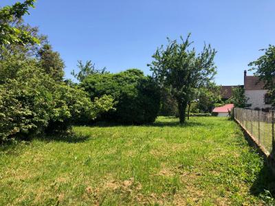 For sale Beton-bazoches 1220 m2 Seine et marne (77320) photo 3
