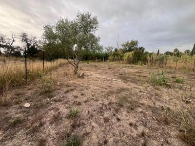 Acheter Terrain 882 m2 Rivesaltes