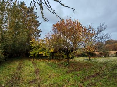 Annonce Vente 3 pi�ces Maison Dax 40