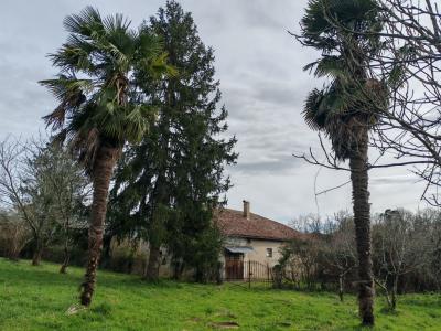 Acheter Maison 60 m2 Dax