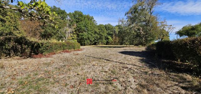 Acheter Maison Domats 150000 euros