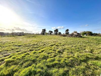 Annonce Vente Terrain Pugnac 33