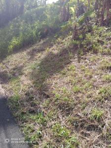 For sale Francois 689 m2 Martinique (97240) photo 0