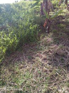 Acheter Terrain 689 m2 Francois