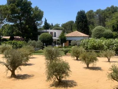 Acheter Prestige 253 m2 Maussane-les-alpilles