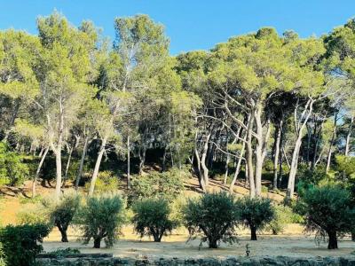 Acheter Prestige Maussane-les-alpilles 1940000 euros