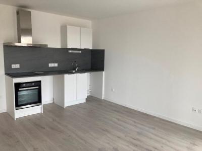 Annonce Location 2 pi�ces Appartement Lille 59