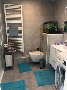Louer Appartement 48 m2 Haguenau