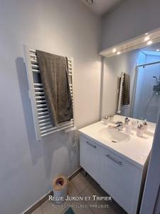 Louer Appartement Lyon-1er-arrondissement 410 euros