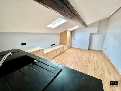 Annonce Location Appartement Lyon-9eme-arrondissement 69