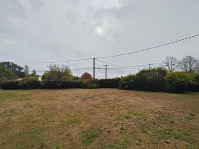 Annonce Vente Terrain Saint-caprais-de-bordeaux 33