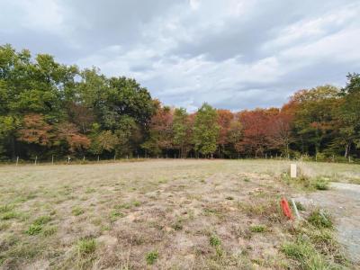 Annonce Vente Terrain Bouliac 33