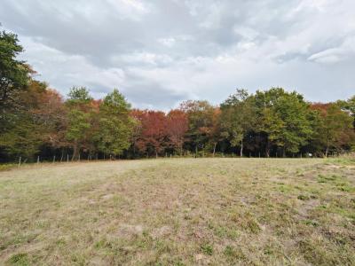 Acheter Terrain 894 m2 Bouliac