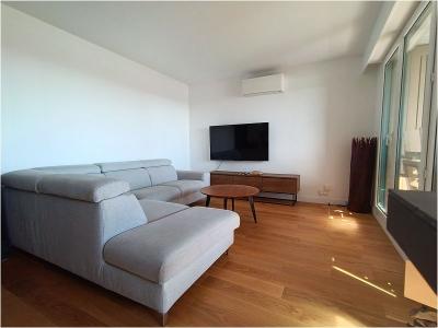 Louer Appartement 45 m2 Toulouse