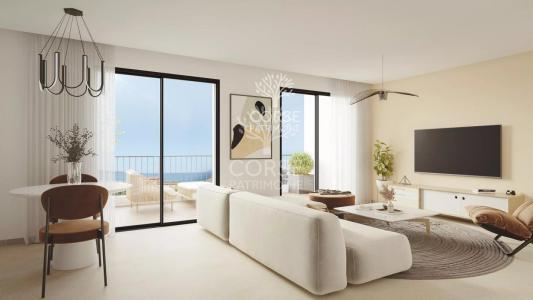 Acheter Appartement 45 m2 Propriano