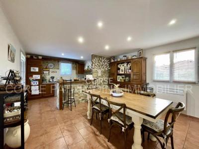 Annonce Vente 5 pi�ces Maison Cervione 20
